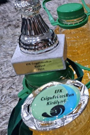 CsigaFröccsRun